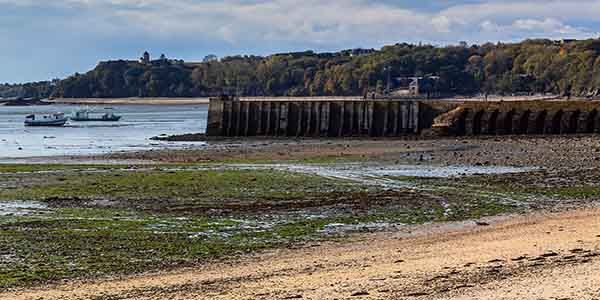 beach at low tide