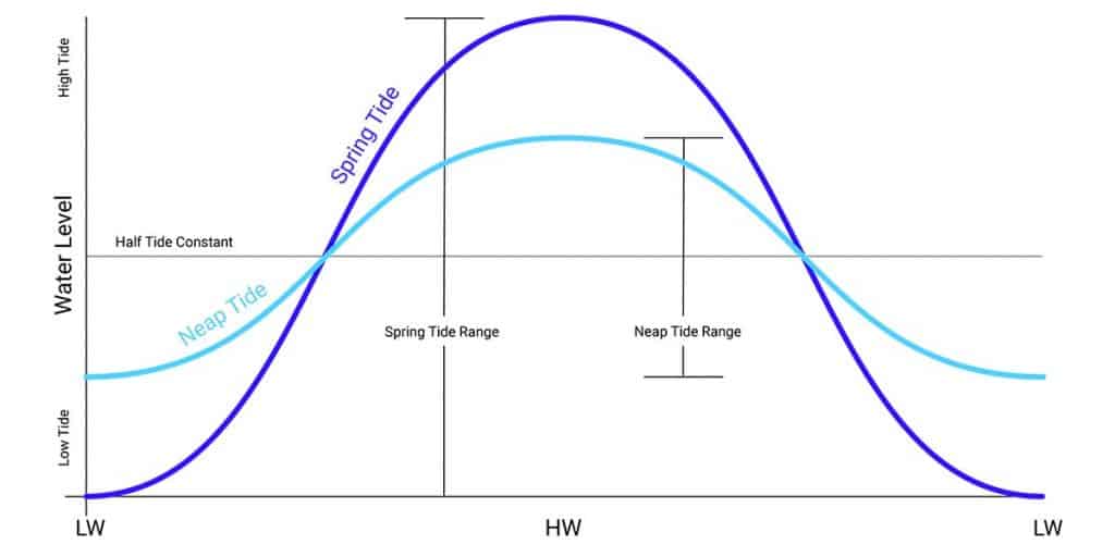 tidal curve illustrating the difference between spring and neap tides