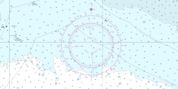 compass rose on a nautical chart